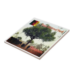 zCM007 WASA N.P. Camerron, Afrika, Tegeltje