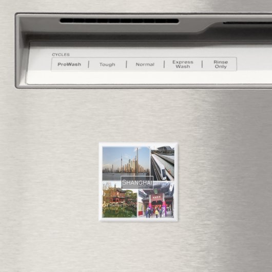 zCN012 SHANGHAI, China, Azië, Fridge Magneet (Insitu (Vaatwasser))