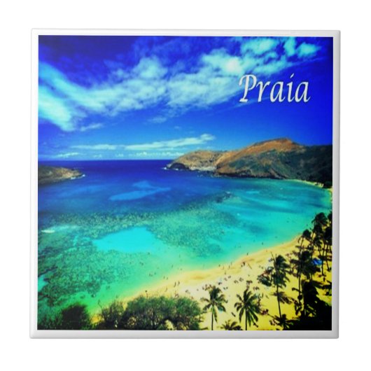 ZCV014 PRAIA, Panorama, Kaapverdië, Afrika Tegeltje (Voorkant)