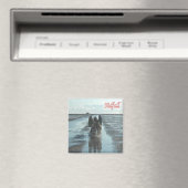 zDE095 SÜDFALL LAGE TIDE Frisian Islands - Fridge Magneet (Insitu (Vaatwasser))