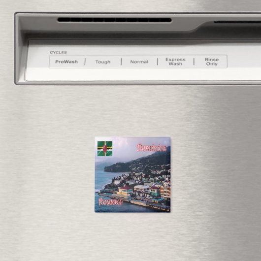 zDM004 ROSEAU, Panorama, Dominica, Amerika, Fridge Magneet (Insitu (Vaatwasser))