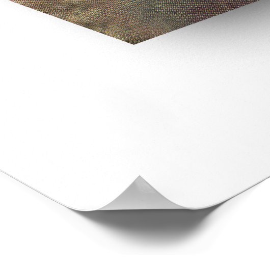 Ze-Devil van Harry Hervey Poster (Hoek)