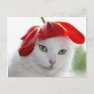 Ze droeg een Pet als een Tulp Briefkaart