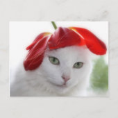 Ze droeg een Pet als een Tulp Briefkaart (Voorkant)