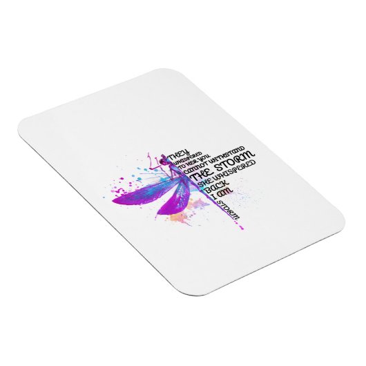 Ze hebben haar gegrift dat je niet tegen Storm kun Magneet (Rechterzijde)