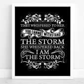 Ze hebben haar gegrift terwijl ik het Storm ben. Poster