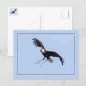 Ze heeft een tikje briefkaart (Voorkant / Achterkant)
