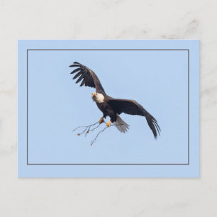 Ze heeft een tikje briefkaart