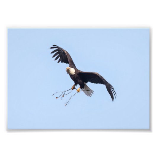 Ze heeft een tikje foto afdruk (Voorkant)