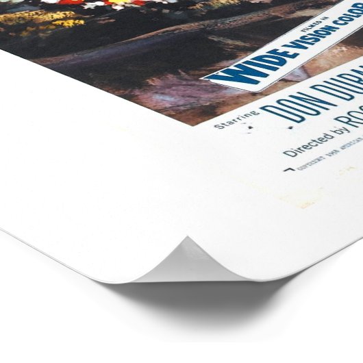 Ze heeft haaienrif poster (Hoek)