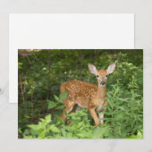 Ze heeft nog steeds haar mond - Fawn Notecard Bedankkaart (Voorkant / Achterkant)