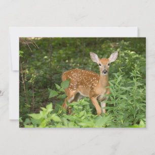 Ze heeft nog steeds haar mond - Fawn Notecard Bedankkaart
