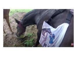 Ze heeft zoveel plezier! tweekleurige koffiemok