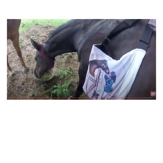 Ze heeft zoveel plezier! tweekleurige koffiemok