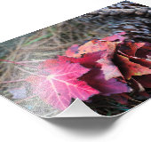 Ze Herfsten allemaal Foto Afdruk (Hoek)