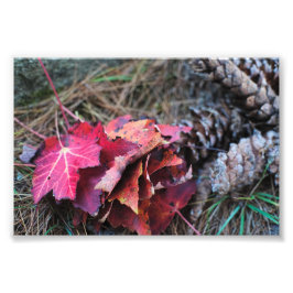 Ze Herfsten allemaal Foto Afdruk