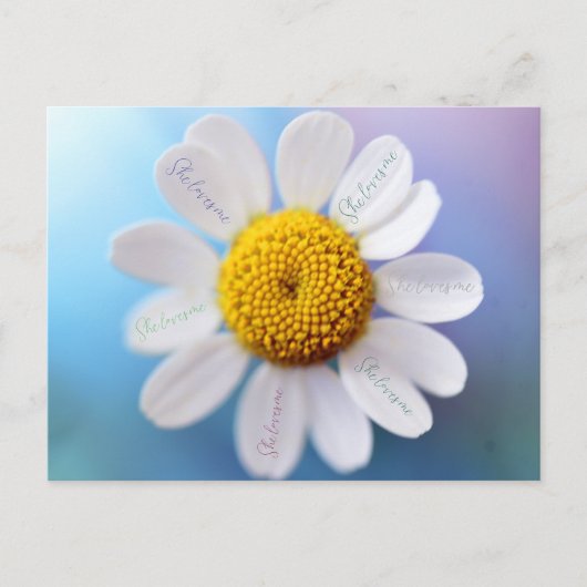 "Ze houdt van me" Daisy Briefkaart (Voorkant)