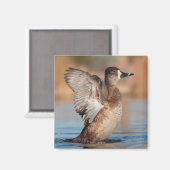 Ze is een flap. magneet (Voorkant / Achterkant)