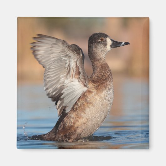 Ze is een flap. magneet (Voorkant)