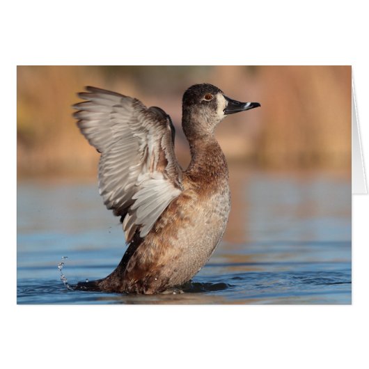 Ze is een Flapper (Voorkant Horizontaal)