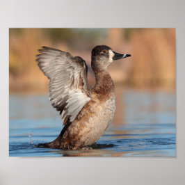 Ze is een Flapper Poster