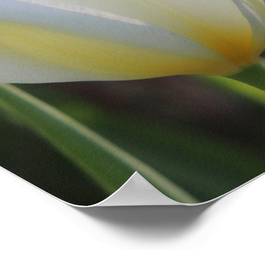 Ze is gekleed - Proverbs 31:25 floraal Poster (Hoek)