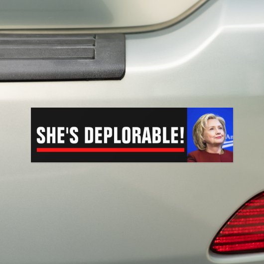 ZE IS IMPLEMENTAIR BUMPERSTICKER (Op auto)