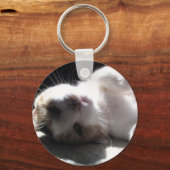 Ze katten de sleutelketen van het kat. sleutelhanger (Voorkant)