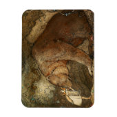 "Ze kuste het Beer" van John Bauer Magneet (Verticaal)