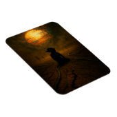 Ze kwamen terwijl de zon aan het smelten was magneet (Rechterzijde)