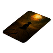 Ze kwamen terwijl de zon aan het smelten was magneet (Linkerzijde)