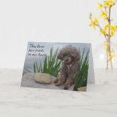 Ze laten poetafdrukken achter op onze sympathie va kaart (Gele Bloem)