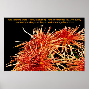 Ze leren gehoorzamen wat ik heb gevraagd poster