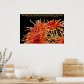 Ze leren gehoorzamen wat ik heb gevraagd poster (Keuken)