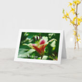 Ze loopt in schoonheid... kaart (Gele Bloem)