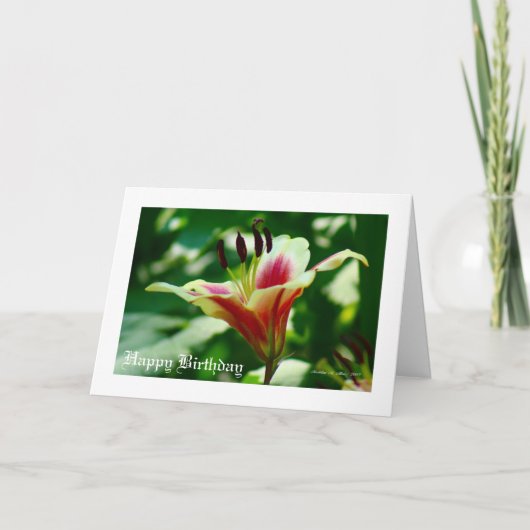 Ze loopt in schoonheid... kaart (Voorkant)