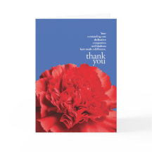 Ze maakten het verschil