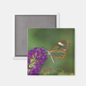 Ze noemen me Clear-wing Magneet (Voorkant / Achterkant)