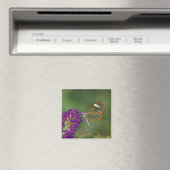 Ze noemen me Clear-wing Magneet (Insitu (Vaatwasser))