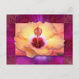 Ze opent haar mond met wijsheid briefkaart