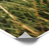 Ze stopten hier. poster (Hoek)