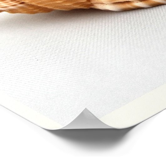 Ze verkoopt Poster van Seashells (Hoek)