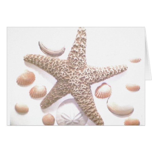 Ze verkoopt zeeschelpen (Voorkant Horizontaal)