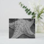 Ze verkoopt zeeschelpen aan de kust briefkaart (Staand voorkant)