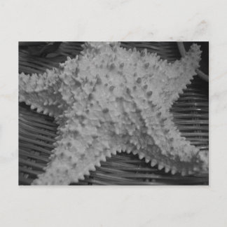 Ze verkoopt zeeschelpen aan de kust briefkaart