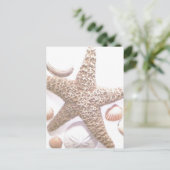 Ze verkoopt zeeschelpen briefkaart (Staand voorkant)