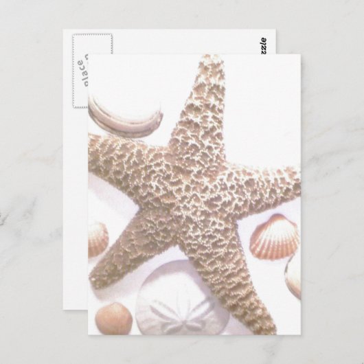 Ze verkoopt zeeschelpen briefkaart (Voorkant / Achterkant)