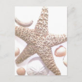 Ze verkoopt zeeschelpen briefkaart (Voorkant)