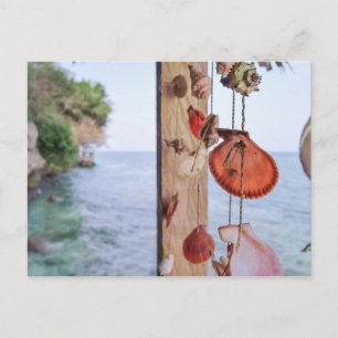 Ze verkoopt zeeschelpen briefkaart