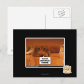 Ze vinden je wel. briefkaart (Voorkant / Achterkant)